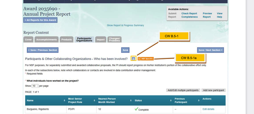 Screenshot from NSF 1.13 B.5 PI Report Entry Participants