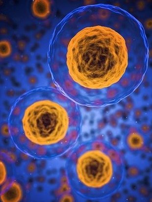 close up of cells