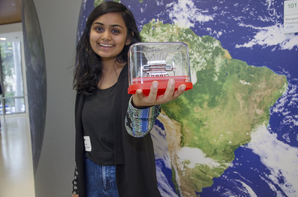 Student Cleantech Entrepreneur
