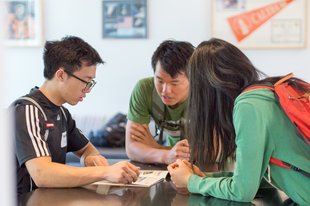Small Group of Students Collaborating
