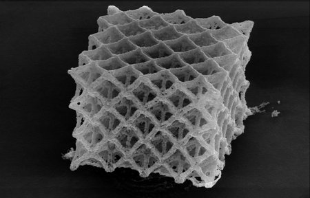 Lattice