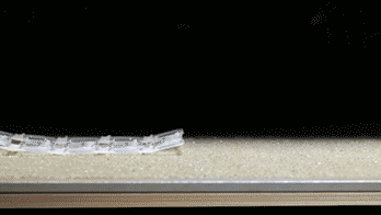 Rollbot