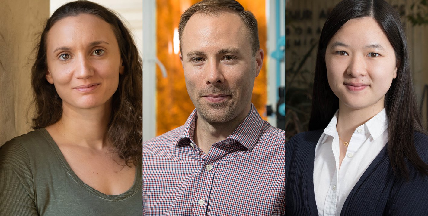 Katerina Chatziioannou, Maxwell Robb, and Lu Wei