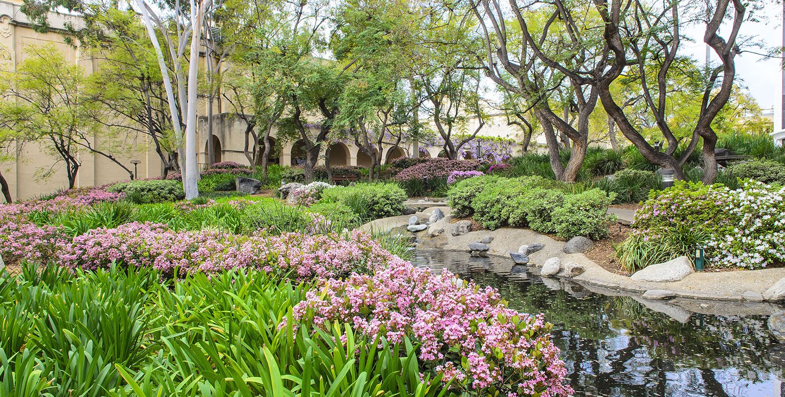 Throop Pond