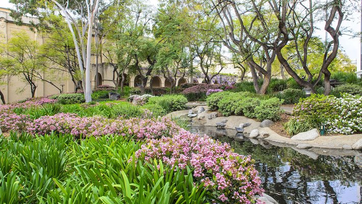 Throop Pond