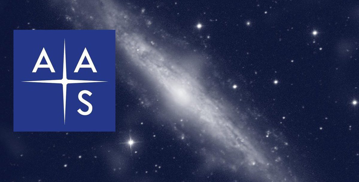 AAS Fellows
