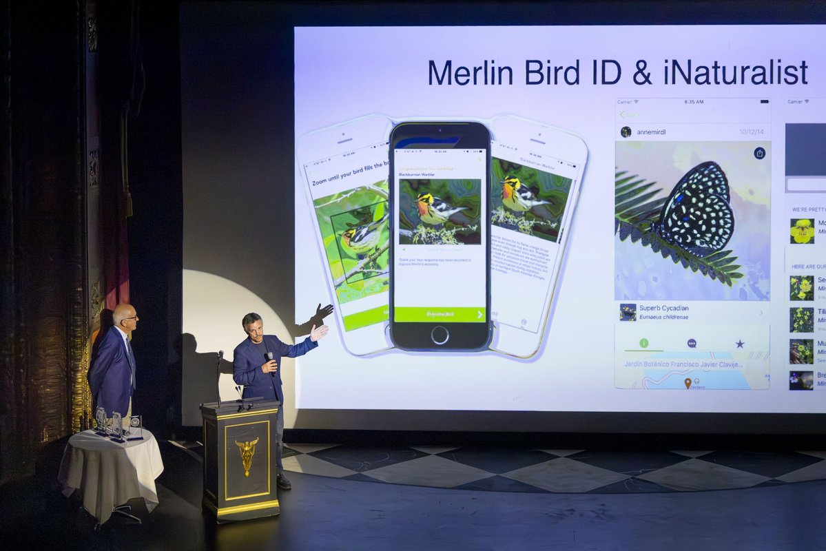 two men on left are presenting on a stage. A slide related to Merlin Bird ID & iNaturalist is shown on a large screen.