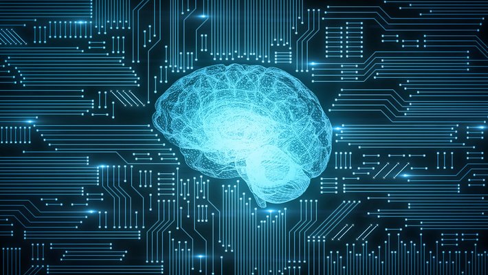 Artwork of a brain with network connections.
