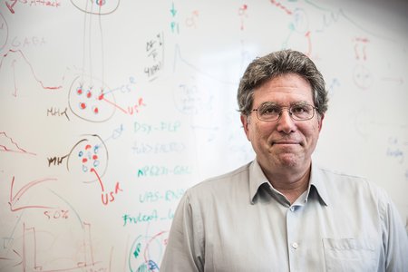 David Anderson in front of a whiteboard with equations.