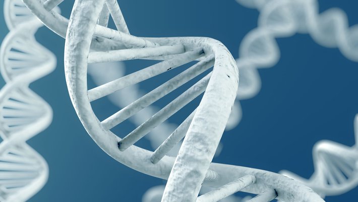 DNA