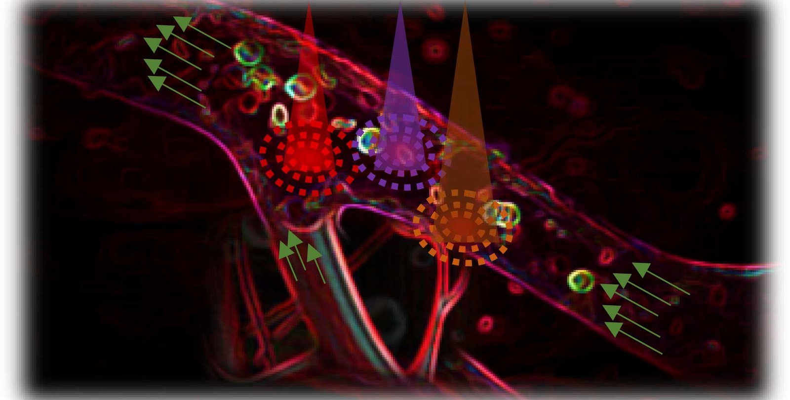 A computer generated image suggesting the flow of blood through a vessel.