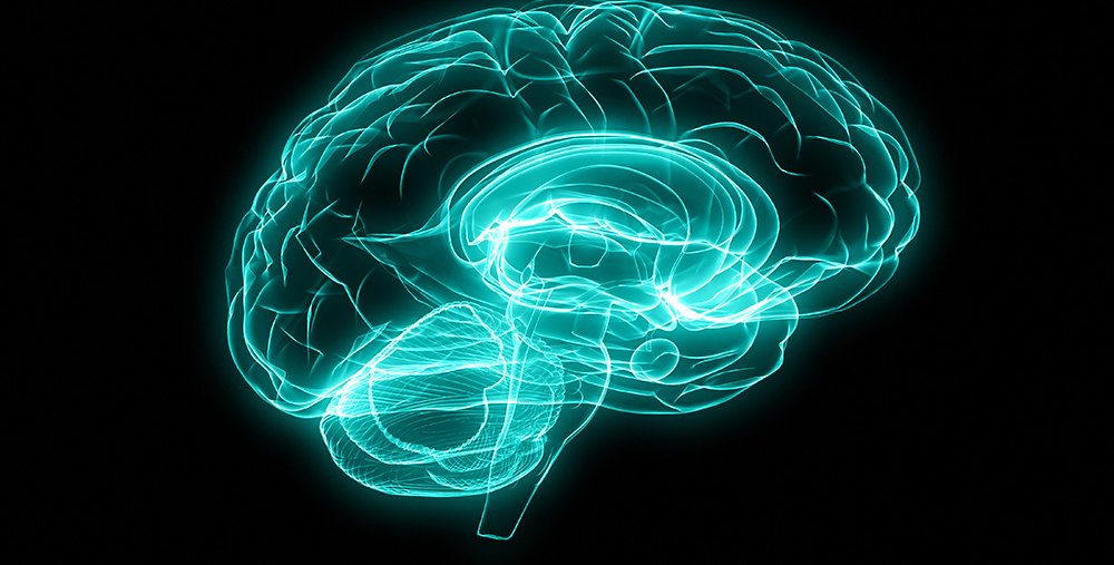 Design of brain