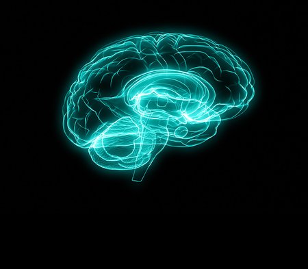Design of brain