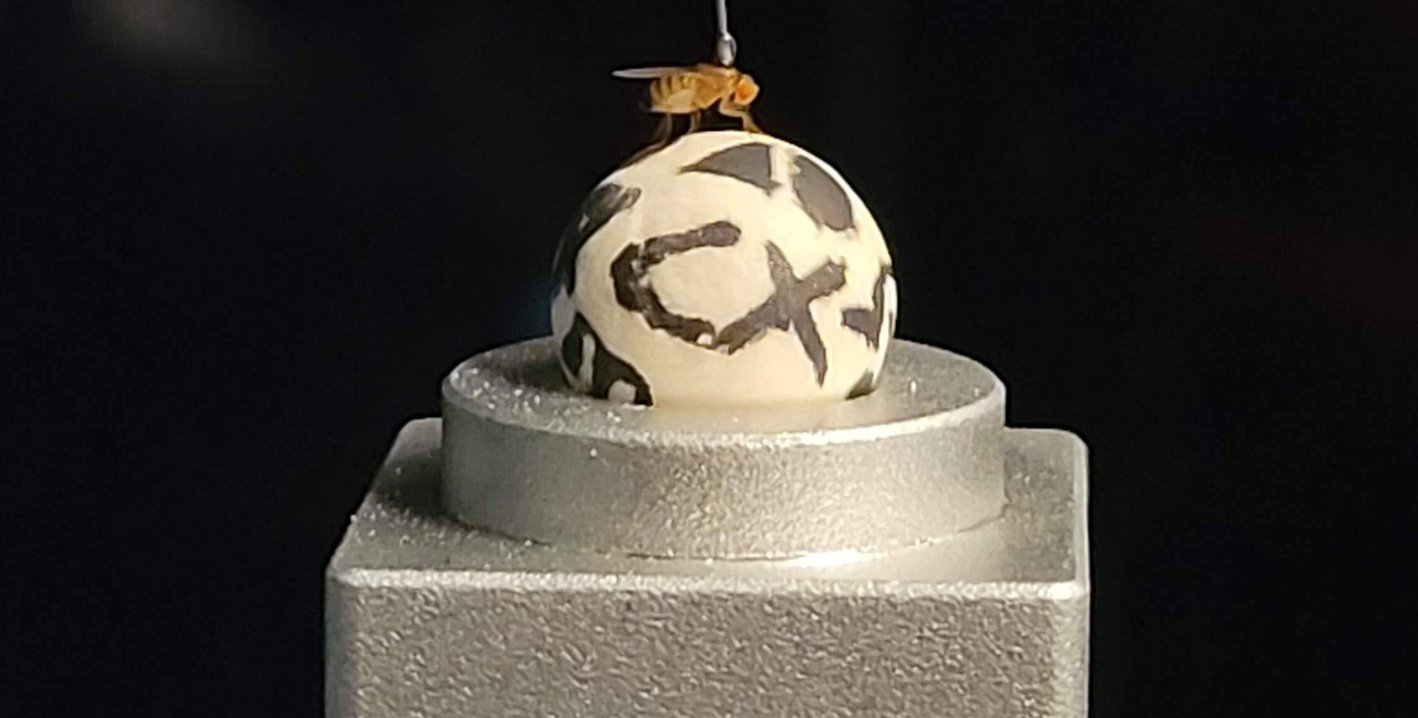 A fly on a sphere with a wire extending straight up from its head.
