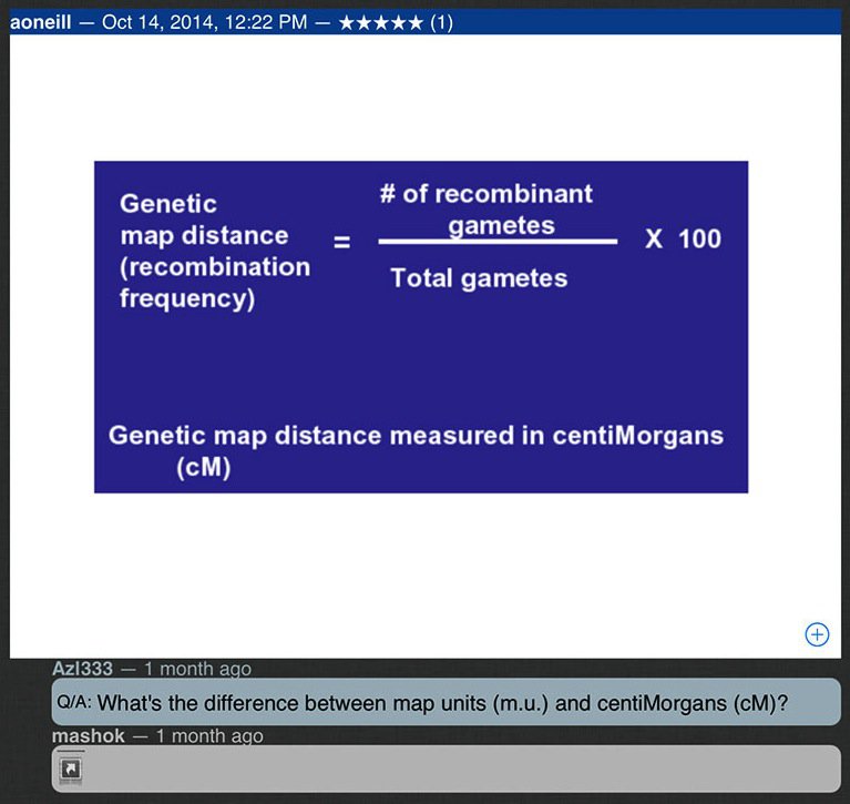 Presentation slide