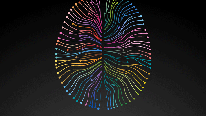 brain drawing