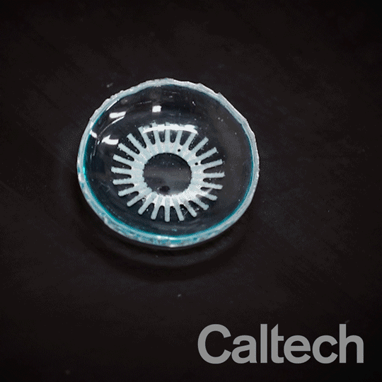 Contact lens animation