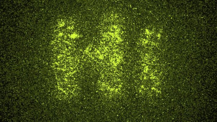 image of the results of glare suppression