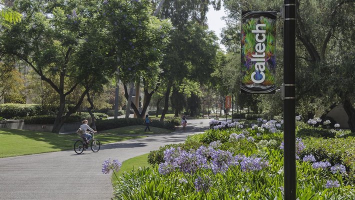Caltech campus