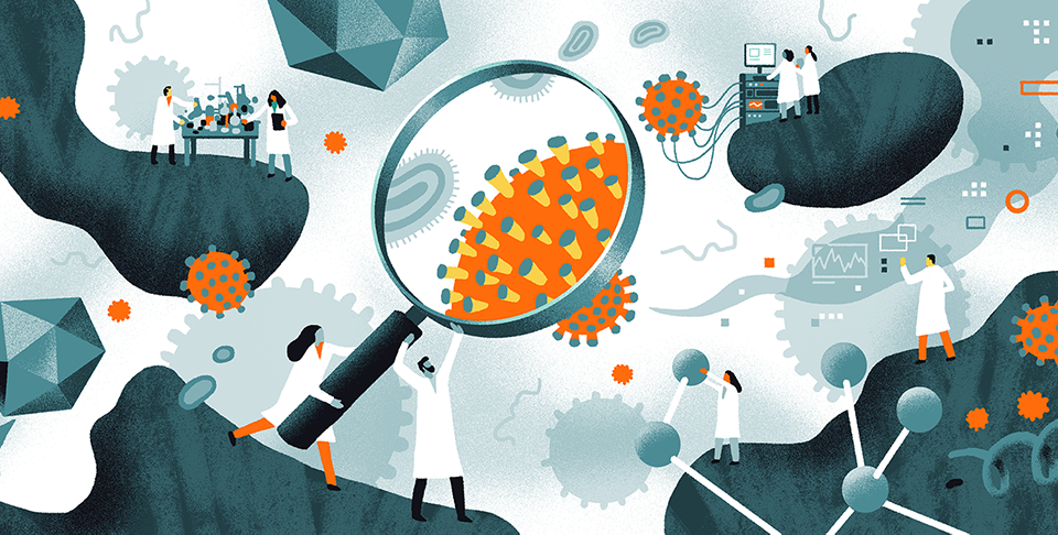 illustration of scientists researching the novel coronavirus