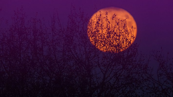 Haunted moon.