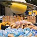 photo of donut display at Cassini Finale event