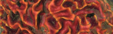 Detail of a rendering of a brain surface region from three-dimensional magnetic resonance images acquired from a healthy volunteer at the Caltech Brain Imaging Center.