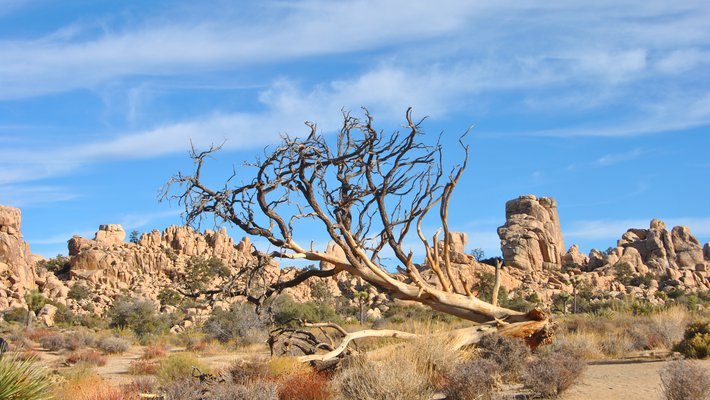A dry desert landscape