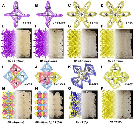 Eight different PAM architectures are shown first as a few particles joined together, then as a larger three-dimensional concatenation of the structure, and finally as they appear in 3-D printed form.