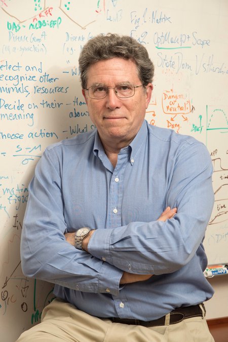 A man sitting in front of a whiteboard with graphs and notes on it