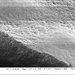 A black and white image of a thick slab made up of many individual bacterial cells