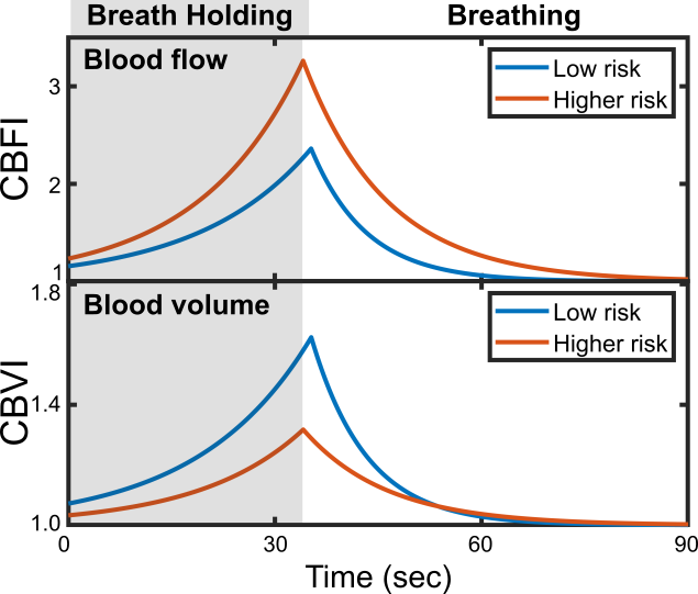 Two graphs demonstrate the results of breath holding for low- and high-risk patients.