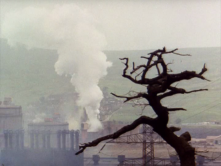 A still frame from archival footage. The frame shows a distant valley with industrial smoke stacks venting smoke or steam. A dead tree appears in the foreground close to the camera.