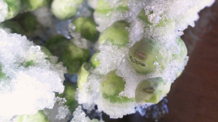 Freezer burn
