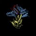 structural rendering of ribosomal protein