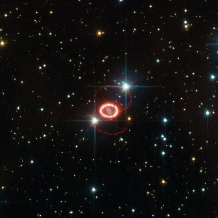 Witnessing a Star's Explosive Death