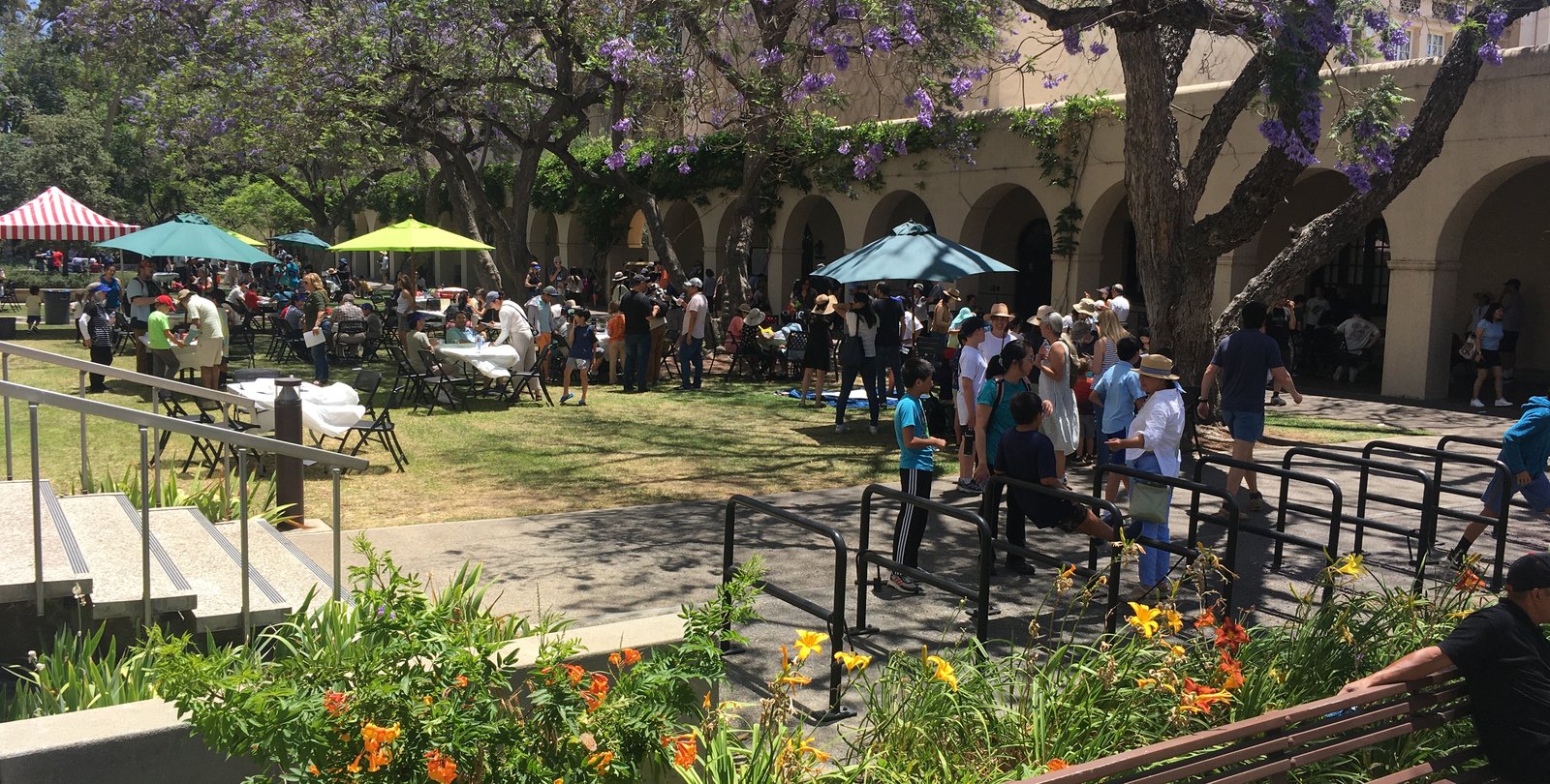A crowd of families stands under trees and shade umbrellas on campus
