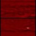 Galileo images of lightning on Jupiter