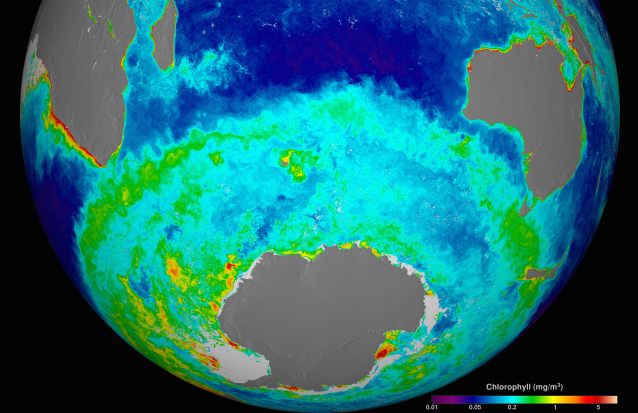 Iron/plankton heatmap
