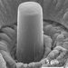 A micrometer-sized pillar of lithium.