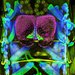 A complex image of colorful dots and