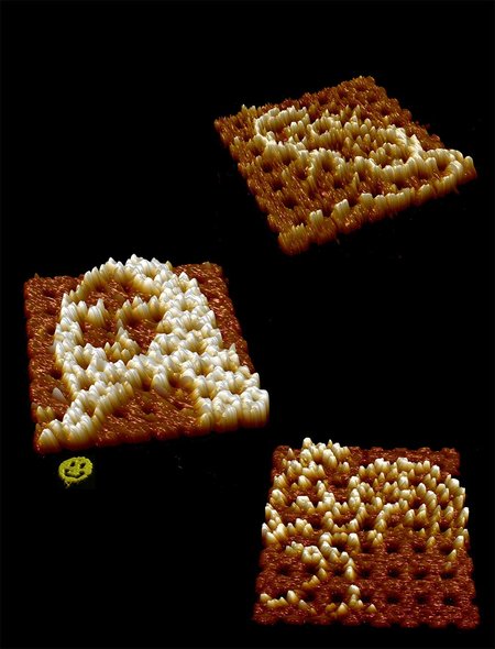 Rendered atomic force microscopy images of the Mona Lisa, a bacterium, and a rooster self-assembled from DNA origami tiles, shown together with the original DNA origami smiley face.