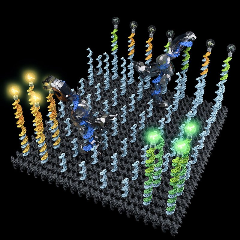 Artist's illustration of DNA robots