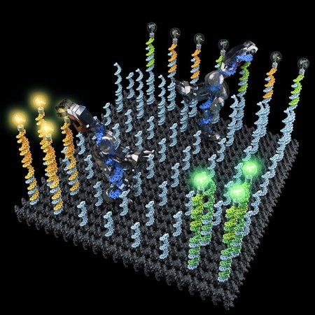 Artist's illustration of DNA robots