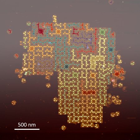 image of self-assembled random tree structures on the surface of DNA tile arrays