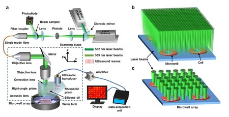 The photoacoustic microscopy apparatus used for imaging the metabolic rates of cancer cells.
