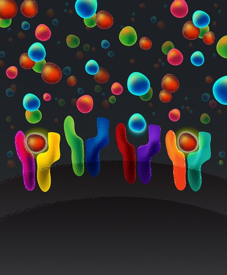 Artist depiction of ligands and receptors