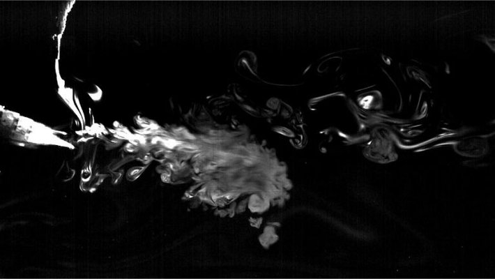 Plume