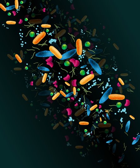 An artist's rendering of gut bacteria.