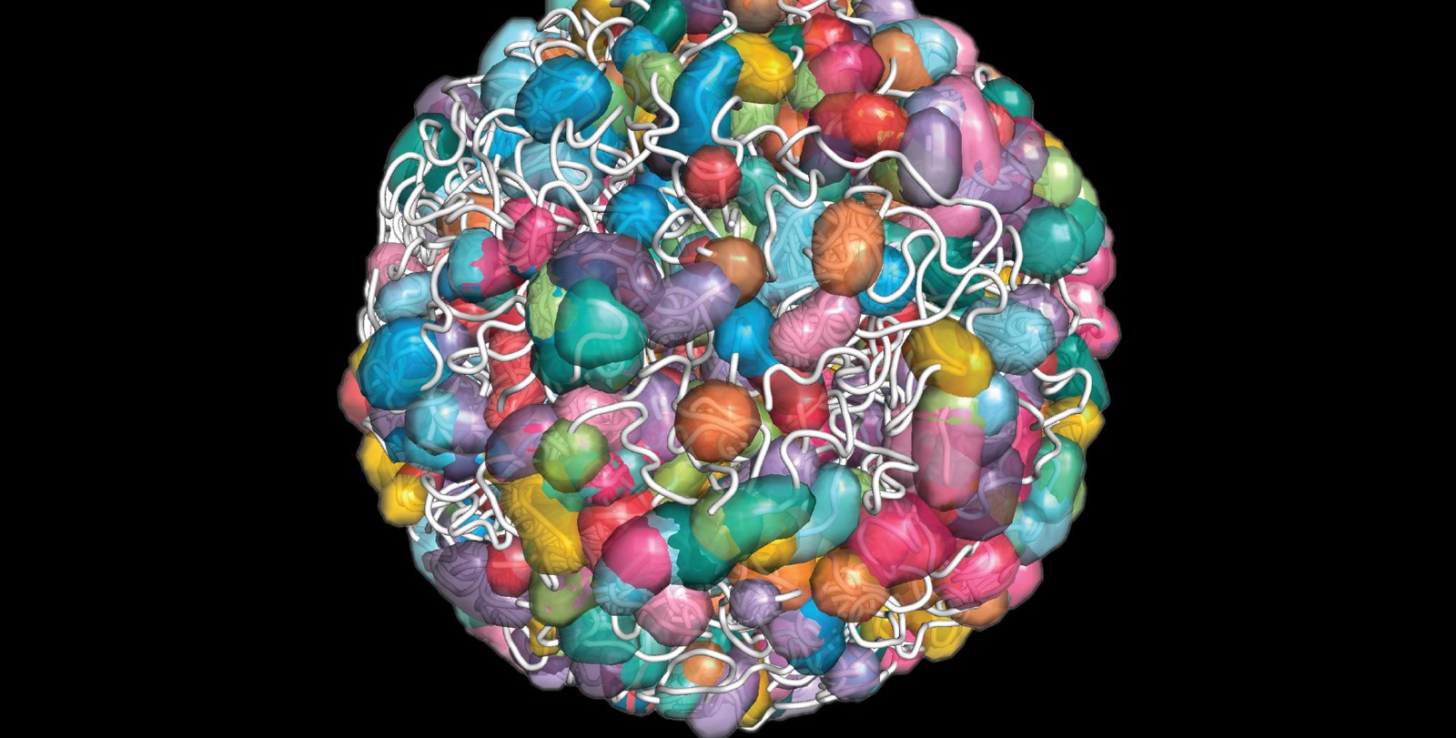 Colorful blobs wrapped in tangled strings of DNA